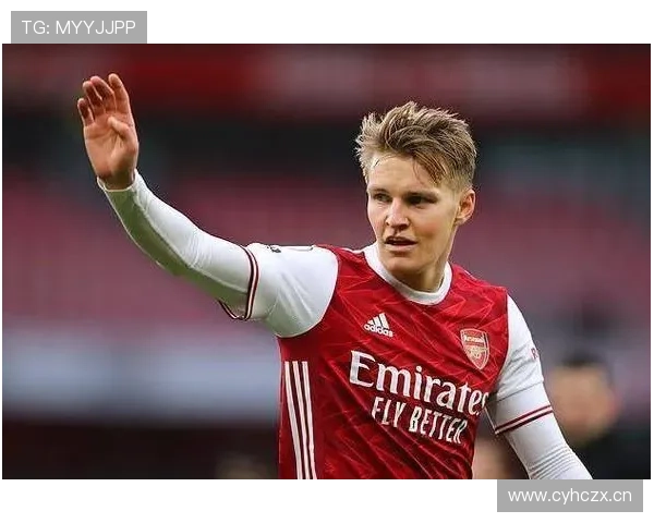 厄德高与B费创造力构成及战术结构差异分析