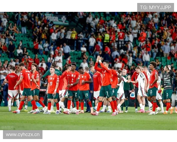 葡萄牙2026世界杯阵容分析 C罗最后一舞能否圆梦大力神杯 葡萄牙2026世界杯阵容分析 C罗最后一舞能否圆梦大力神杯